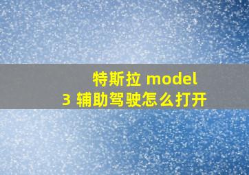 特斯拉 model 3 辅助驾驶怎么打开